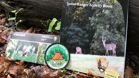 Greenbelt Park Junior Ranger booklet