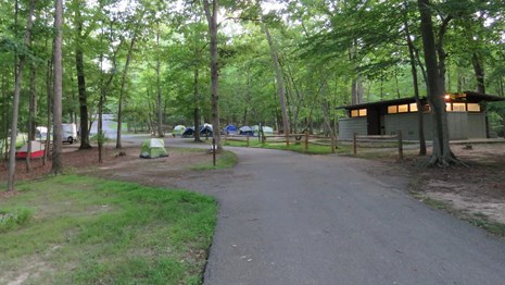 Scout Loop