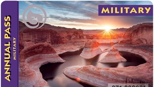 a picture of the Military Pass