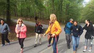 people walking in the park