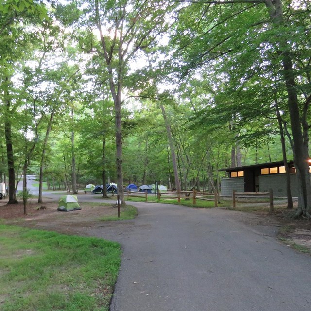 Tents in a campground.