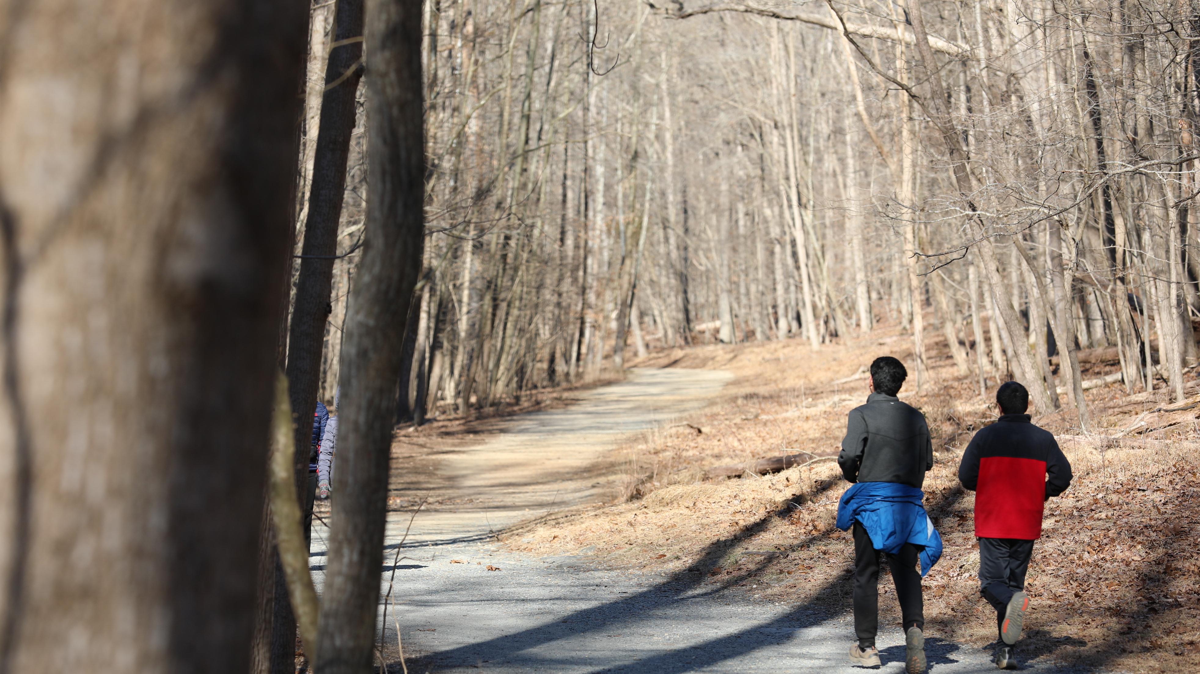Two runners next to each other on trail in a forest, the trees are bare and the grass is brown.