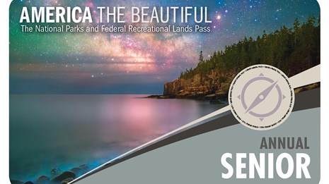 photograph of the $20 Senior Annual Pass