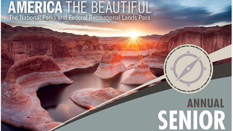 photograph of the $20 Senior Annual Pass