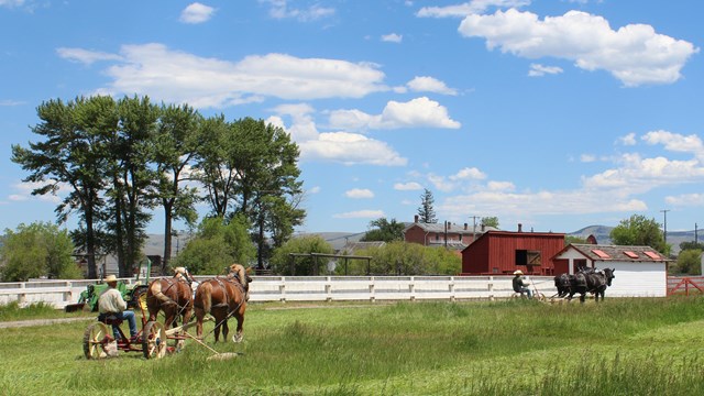 Open Range - Grant-Kohrs Ranch National Historic Site (U.S. National Park  Service)