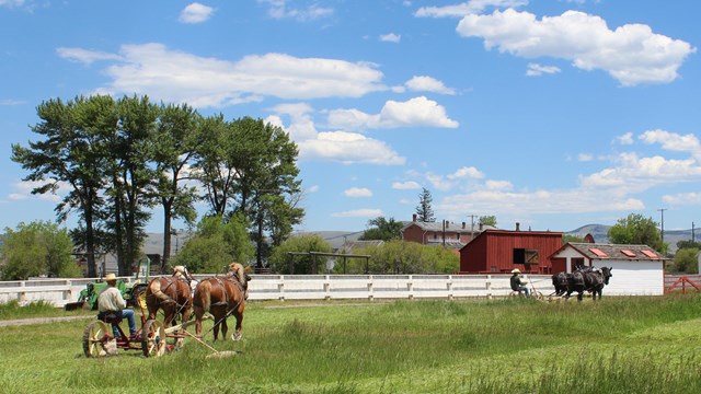 Two horse-drawn sickle mowers cutting hay in field with ranch house in background with blue sky.