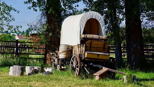 Chuckwagon from the front, view of side with water barrel.  Cottonwood trees shade behind the wagon.