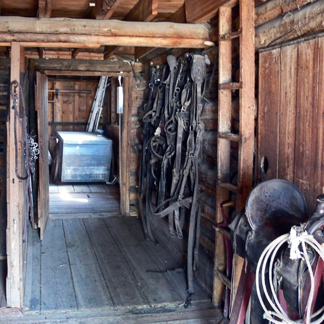 Inside of the draft horse barn with horse tack on the wall, and a saddle on the rack .