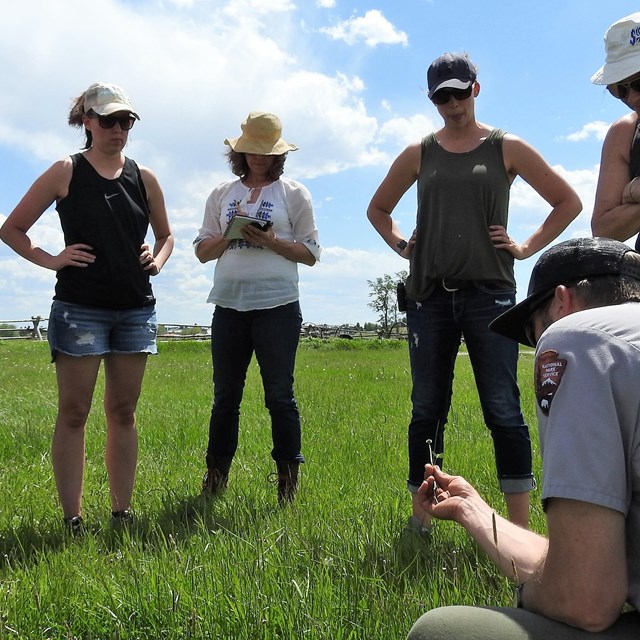 6 teachers stand in a circle with park resource manager kneeling and showing green vegetation