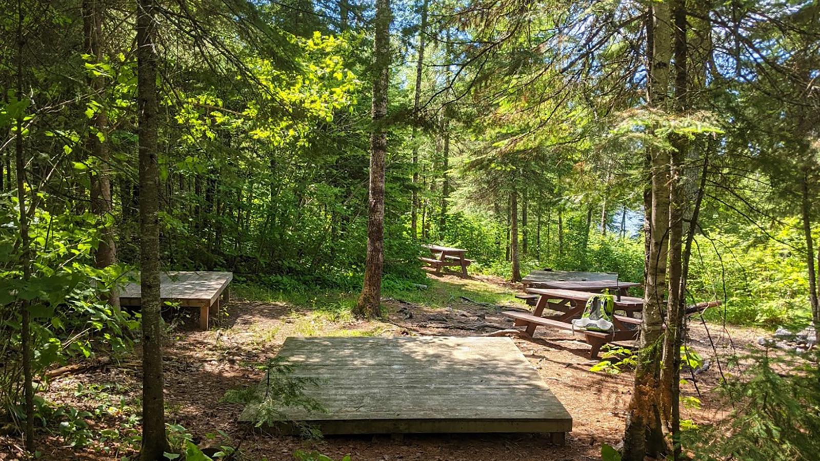 Wooden platforms and a picnic table in a sunny forest.