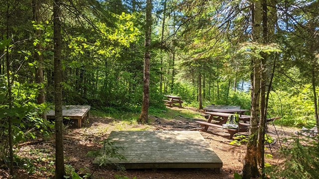 Wooden platforms and a picnic table in a sunny forest.