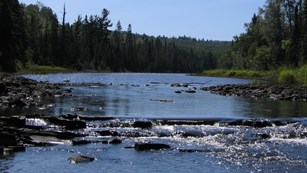 Scene up the Pigeon River