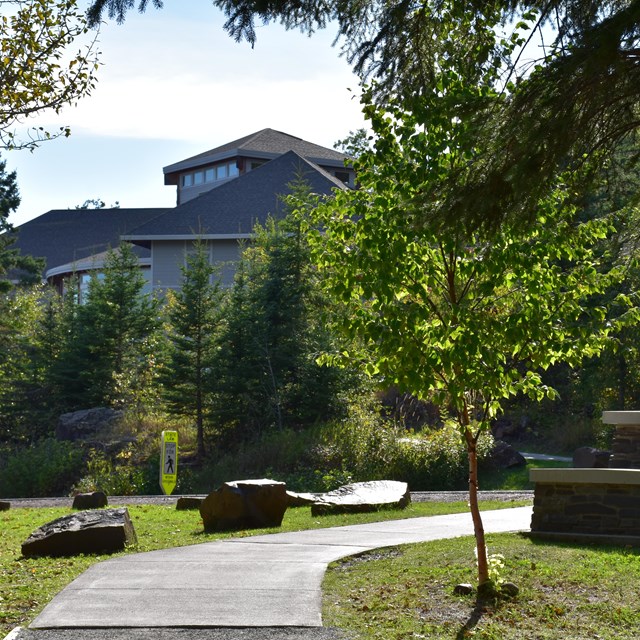 A wide, smooth walkway leading through trees to a building.