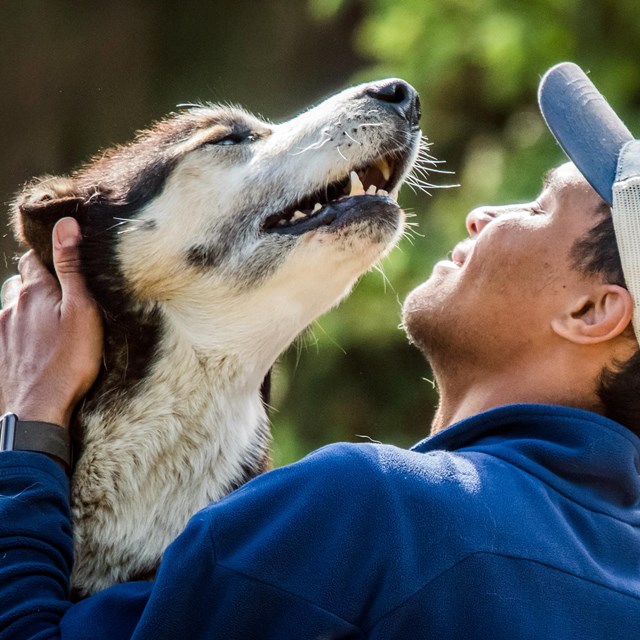 A smiling man in a ballcap pets a husky.