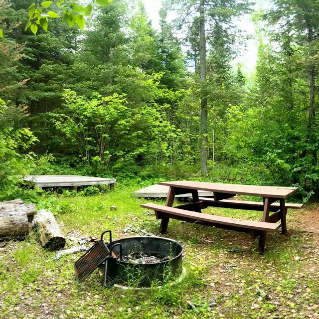 Three picnic tables in the forest with a campfire ring and firewood.