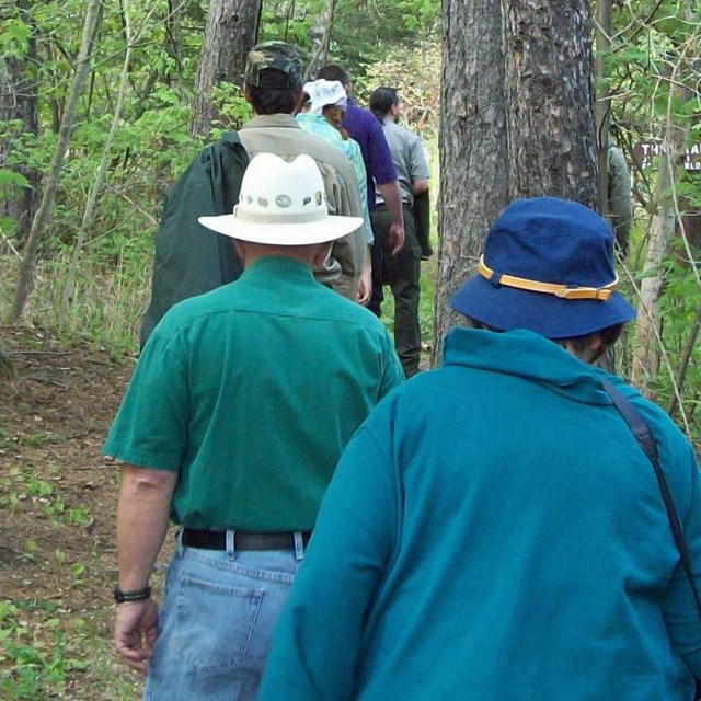 Hikers on a forest path.