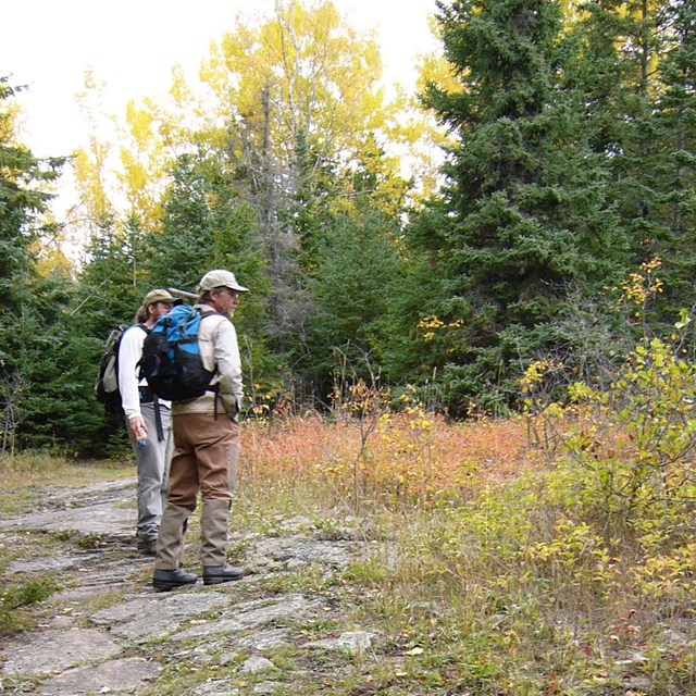 Two hikers standing on a rocky trail in a mixed tree forest.