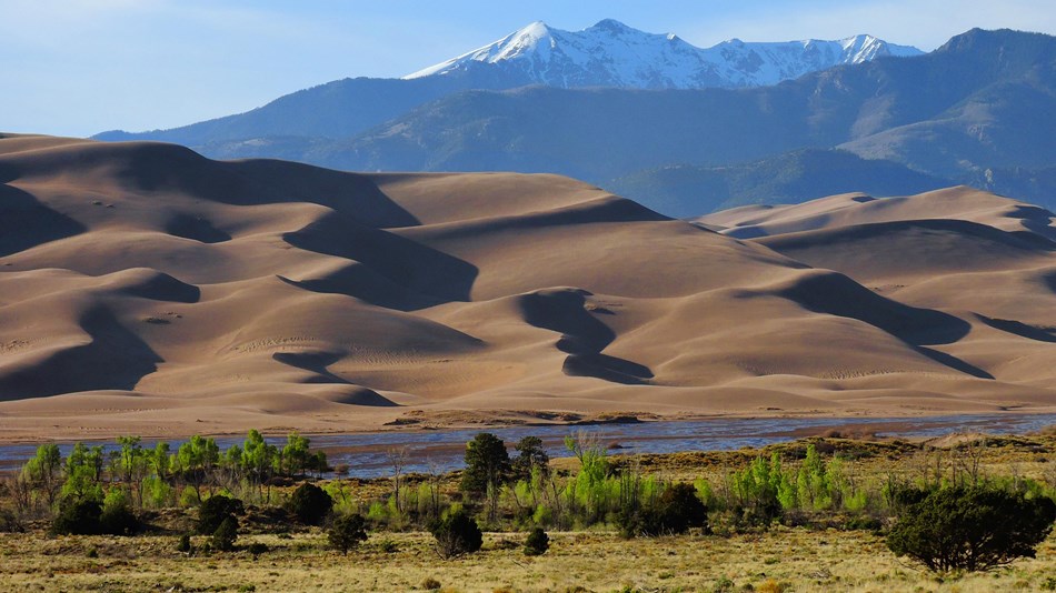 Dunes, Medano Creek, Cottonwood Grove, Forest, and Alpine Peak