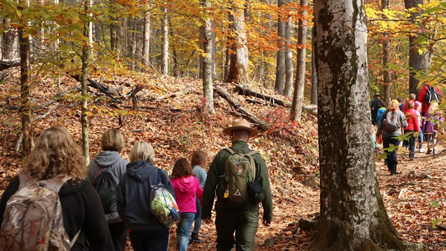 Visitors of varying ages and a ranger walking on a trail in the woods during fall.
