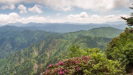 Great Smoky Mountains National Park 