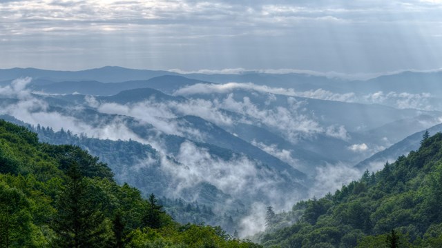 Mists rise from the mountains after a summer rain.