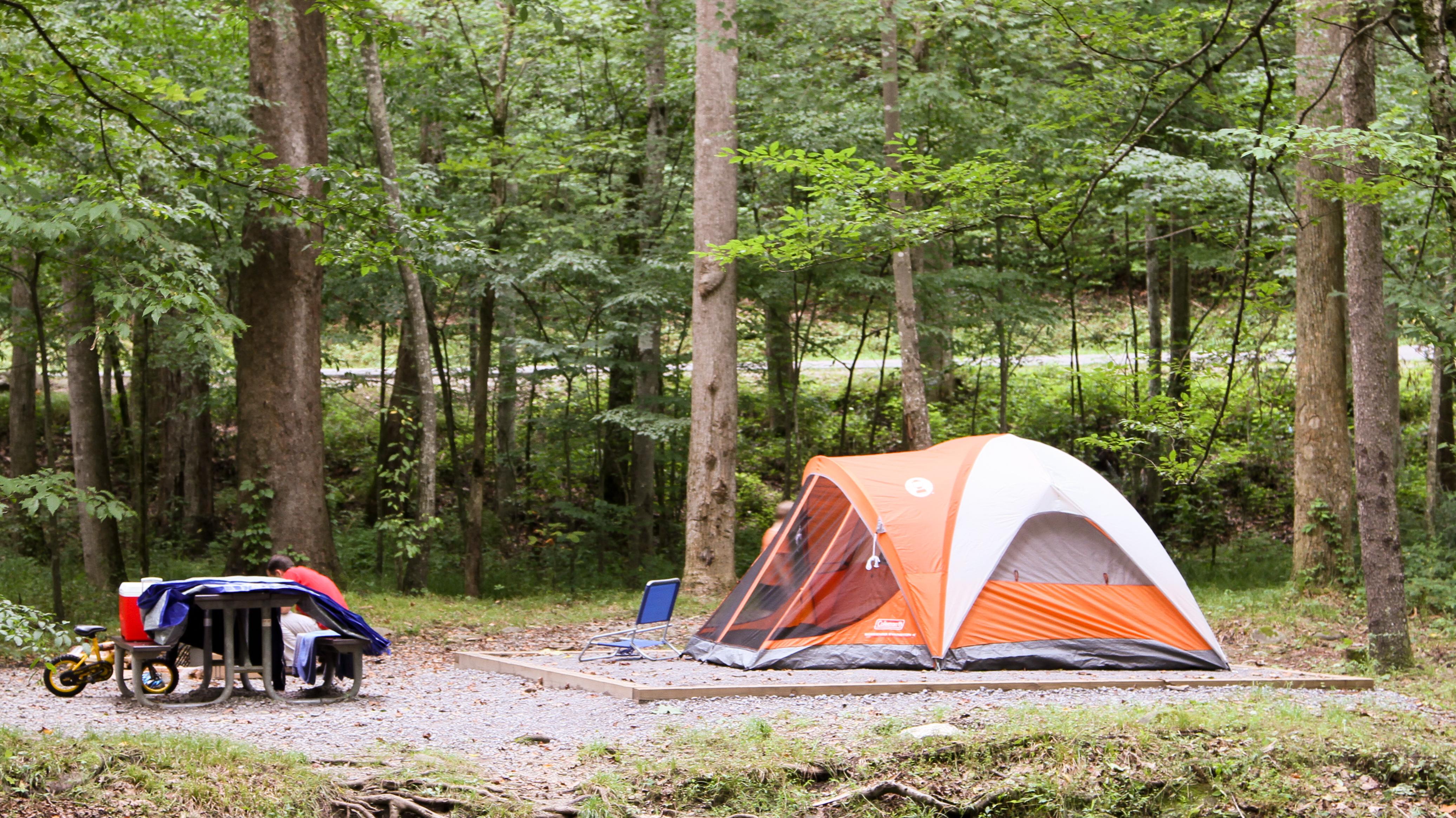Gsmnp cheap