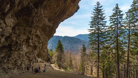 A mountain view from underneath a rocky overhang near trees.