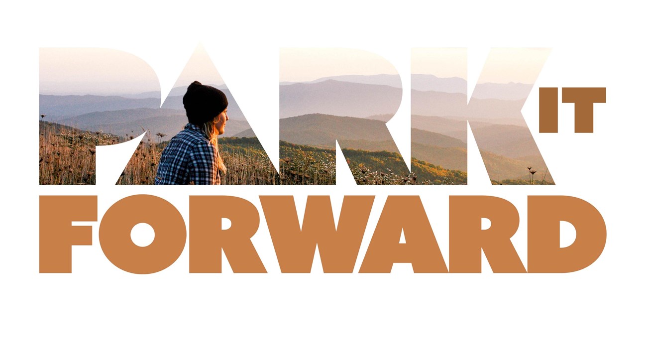 Orange text that says, "Park it Forward", with a mountain photo and person in the letters of Park.