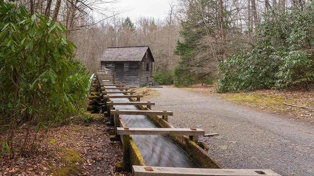 A shoot coming from a wooden gristmill in the forest.