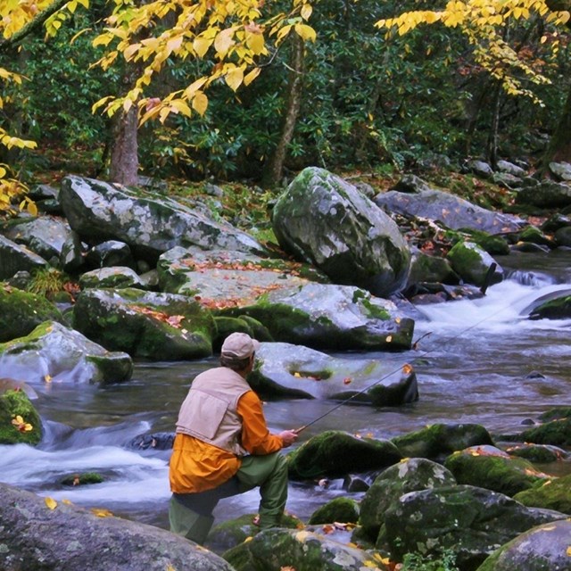 A fly fisherman standing among boulders on the bank of a river. Fall foliage is around him.