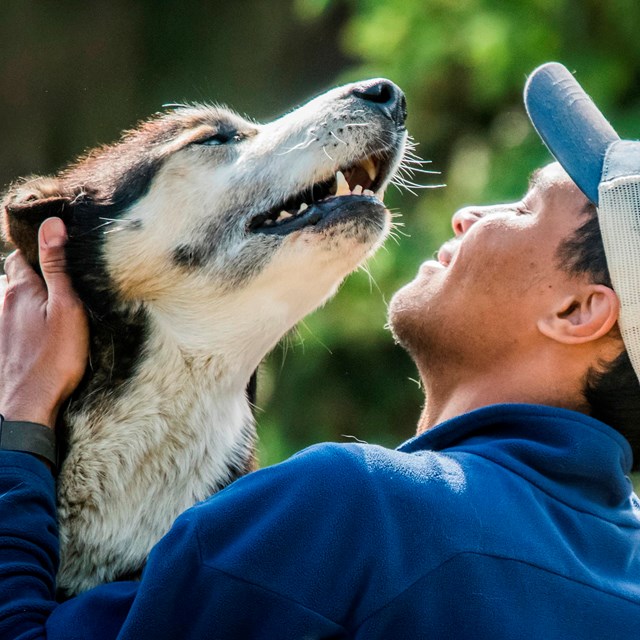 A smiling man in a ballcap pets a husky.