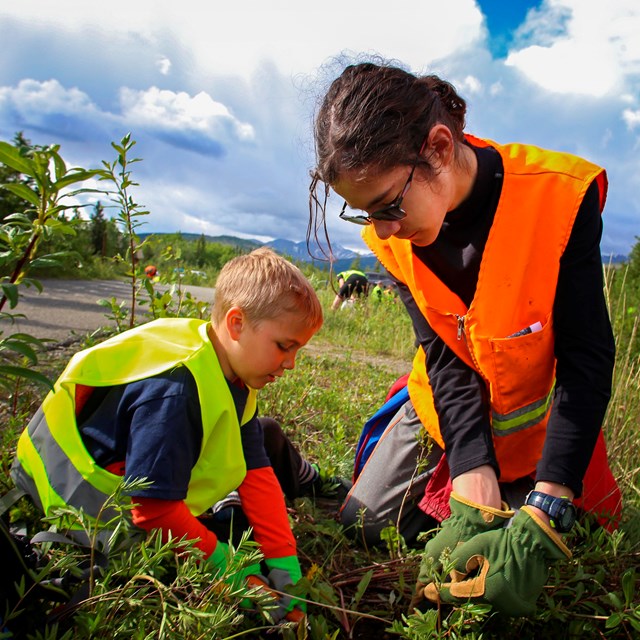 A young boy and girl in safety vests pull weeds.
