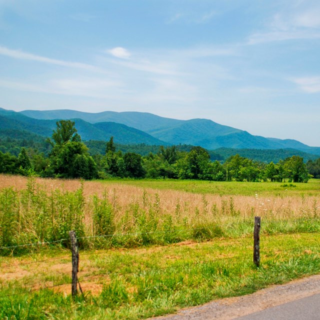 Rolling mountains in the background of a field of grass along a road.