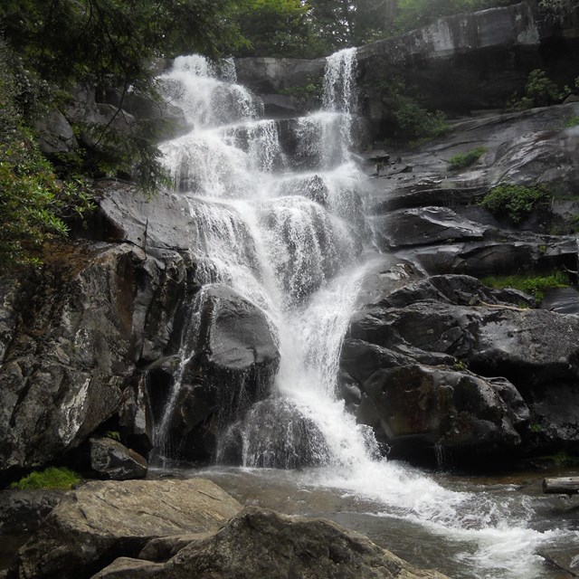 Water cascading down dark grey rocks into a foamy pool, framed by dark green plants