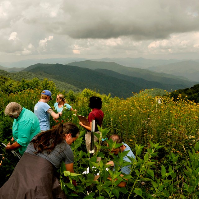 People collecting data in a field with mountains in the background.