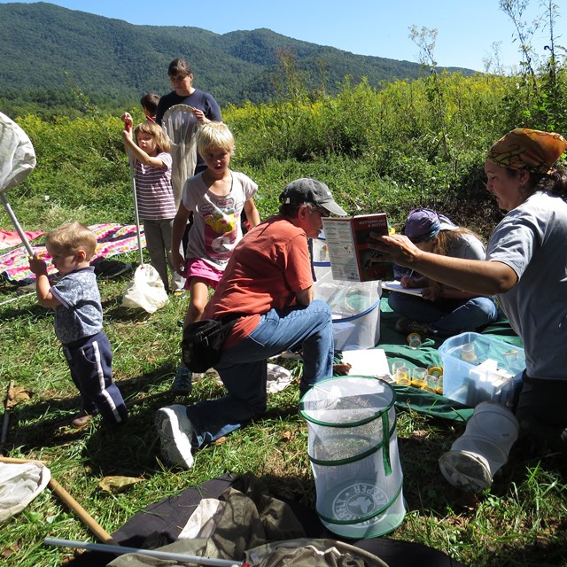 People collecting butterflies in a field.