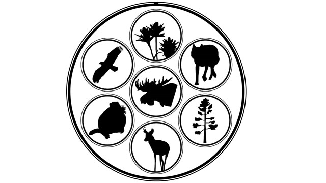 Silhouettes of plants and animals in Grand Teton National Park