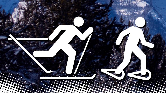 Cross-country skiing and Snowshoeing icons