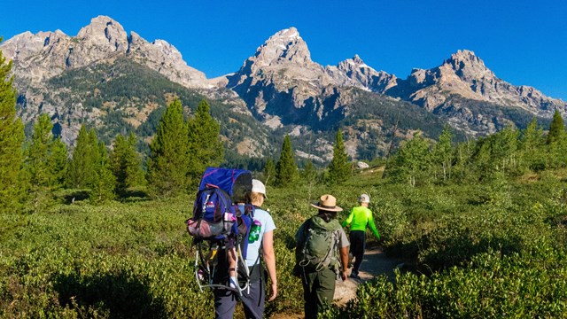 Hikers with a ranger hiking towards the mountains through a green meadow.