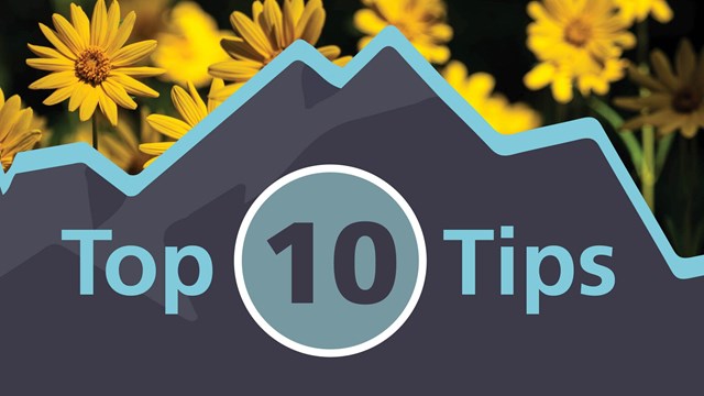 Graphic with Top 10 Tips