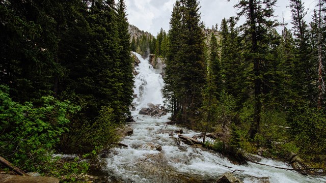 A waterfall flows down a hill between trees.