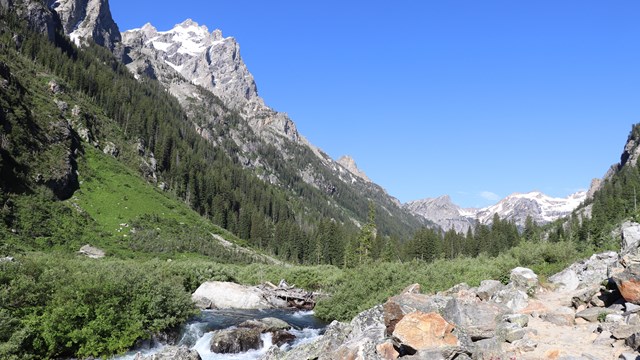 A rocky canyon between mountains.