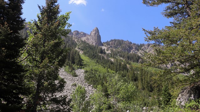 A rock pinnacle towers above at the top of a slope covered in boulders and green vegetation.