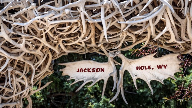 Jackson Hole, WY on moose antler hanging from a arch of antlers.  Adobe Stock 484724702