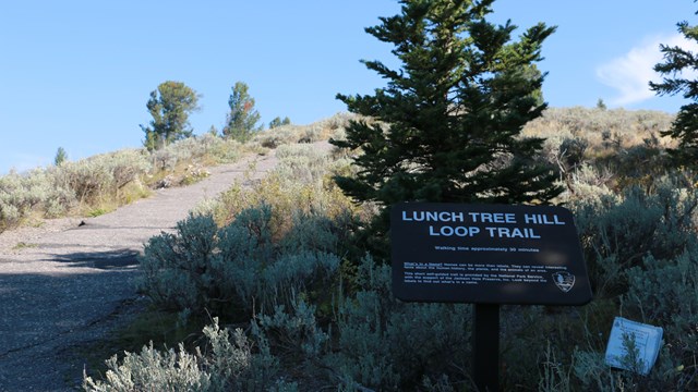 A sign reading "lunch tree hill" by a paved path.
