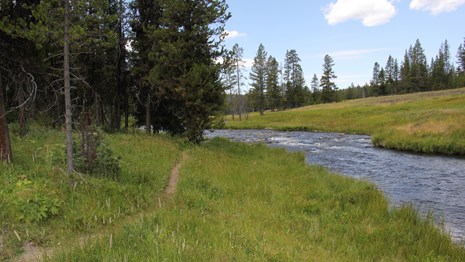 A trail along a river.