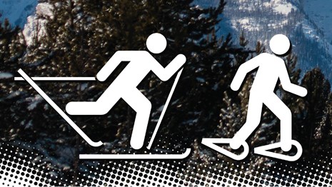 Cross-country skiing and Snowshoeing icons