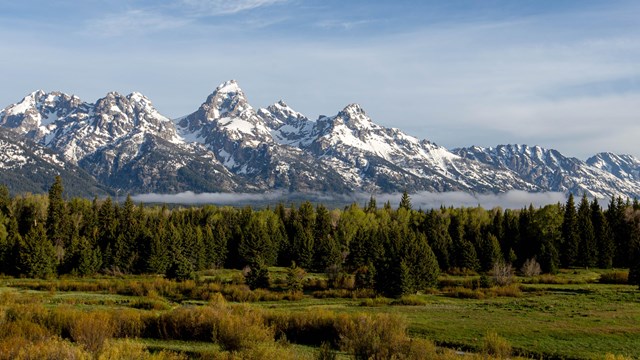 Teton Range in spring with green trees and meadows, snow covering mountains with wisps of clouds