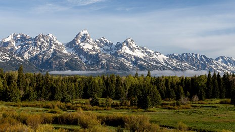 Grand Teton National Park