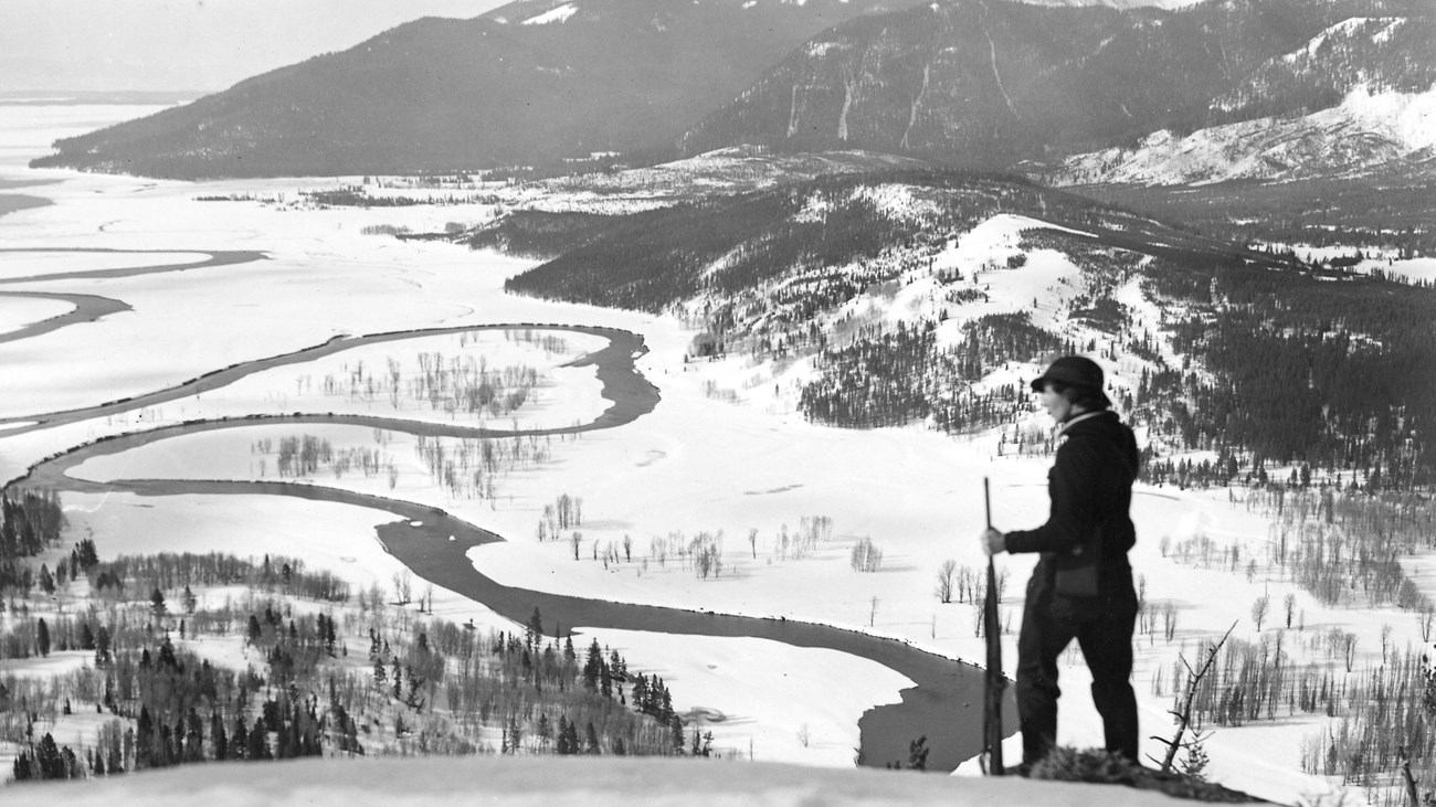 A lone skier stands above a snowy, forested lake and mountain landscape.